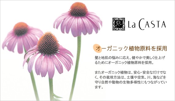 La CASTA(ラ・カスタ)